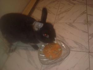 Прикачена снимка