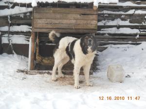 Прикачена снимка