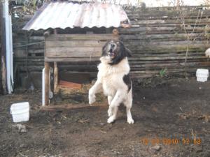 Прикачена снимка