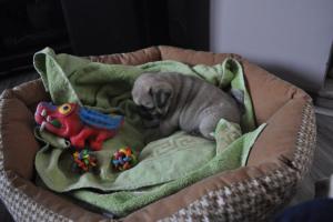 Прикачена снимка