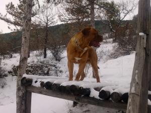 Прикачена снимка