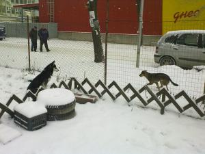 Прикачена снимка