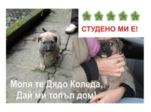 Прикачена снимка