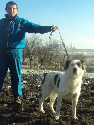 Прикачена снимка