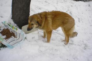 Прикачена снимка