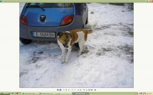 Прикачена снимка
