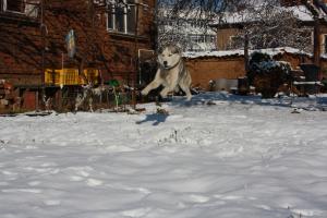 Прикачена снимка
