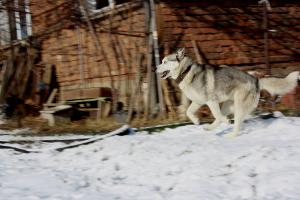Прикачена снимка