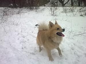 Прикачена снимка