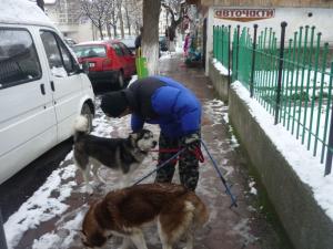 Прикачена снимка