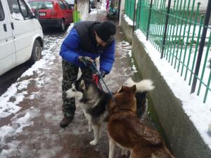 Прикачена снимка
