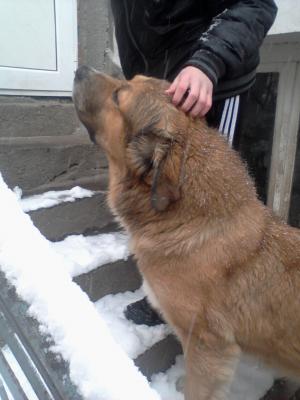 Прикачена снимка