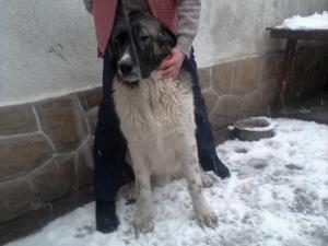 Прикачена снимка