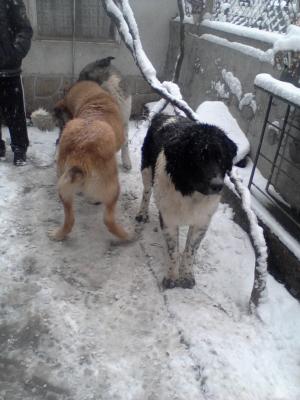 Прикачена снимка