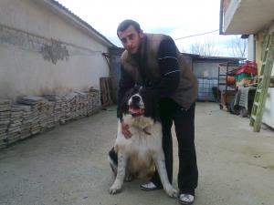 Прикачена снимка