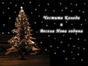 Прикачена снимка