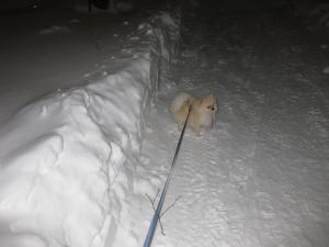 Прикачена снимка