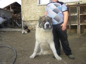Прикачена снимка