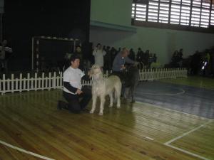Прикачена снимка