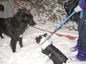 Прикачена снимка
