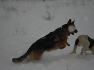 Прикачена снимка