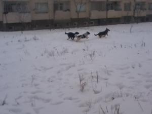 Прикачена снимка