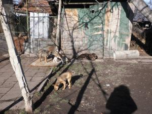 Прикачена снимка