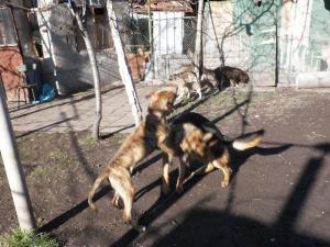 Прикачена снимка