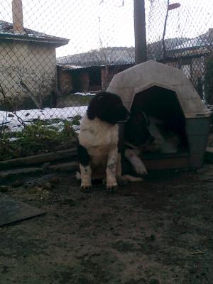 Прикачена снимка