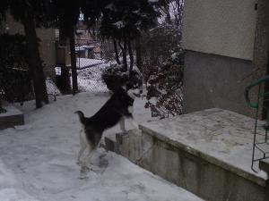 Прикачена снимка