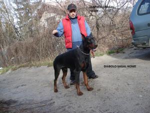 Прикачена снимка