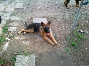 Прикачена снимка