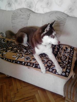 Прикачена снимка