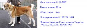 Прикачена снимка