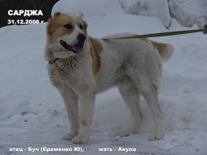 Прикачена снимка
