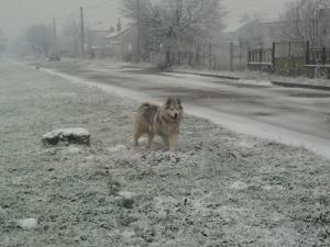 Прикачена снимка