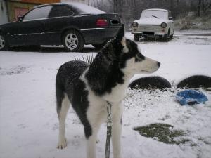 Прикачена снимка