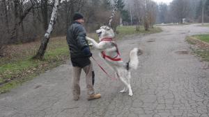 Прикачена снимка