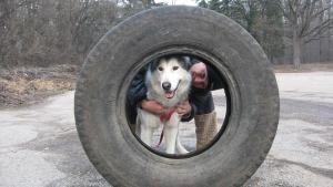Прикачена снимка