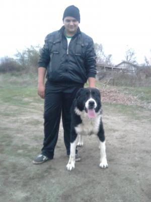 Прикачена снимка