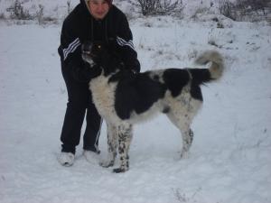 Прикачена снимка