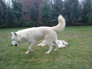 Прикачена снимка