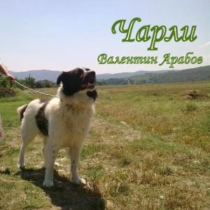 Прикачена снимка