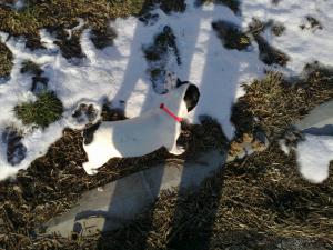 Прикачена снимка