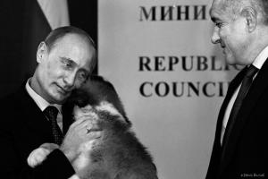 Прикачена снимка