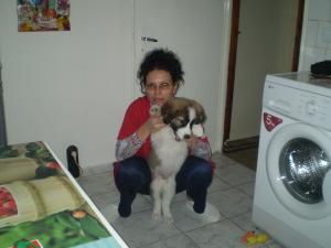 Прикачена снимка