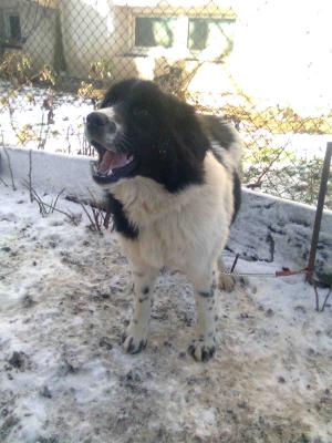 Прикачена снимка