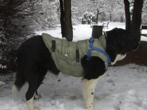 Прикачена снимка