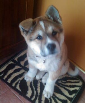 Прикачена снимка