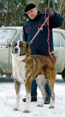 Прикачена снимка